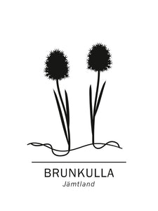 Brunkulla, Jämtland landskapsblomma