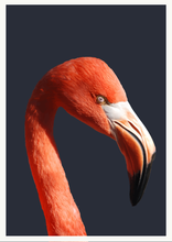 Ladda bilder till galleriet, Flamingo
