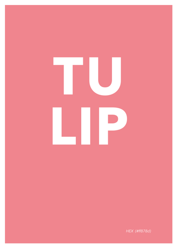 Tulip Poster
