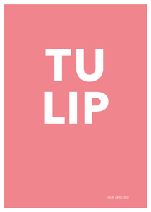 Tulip Poster