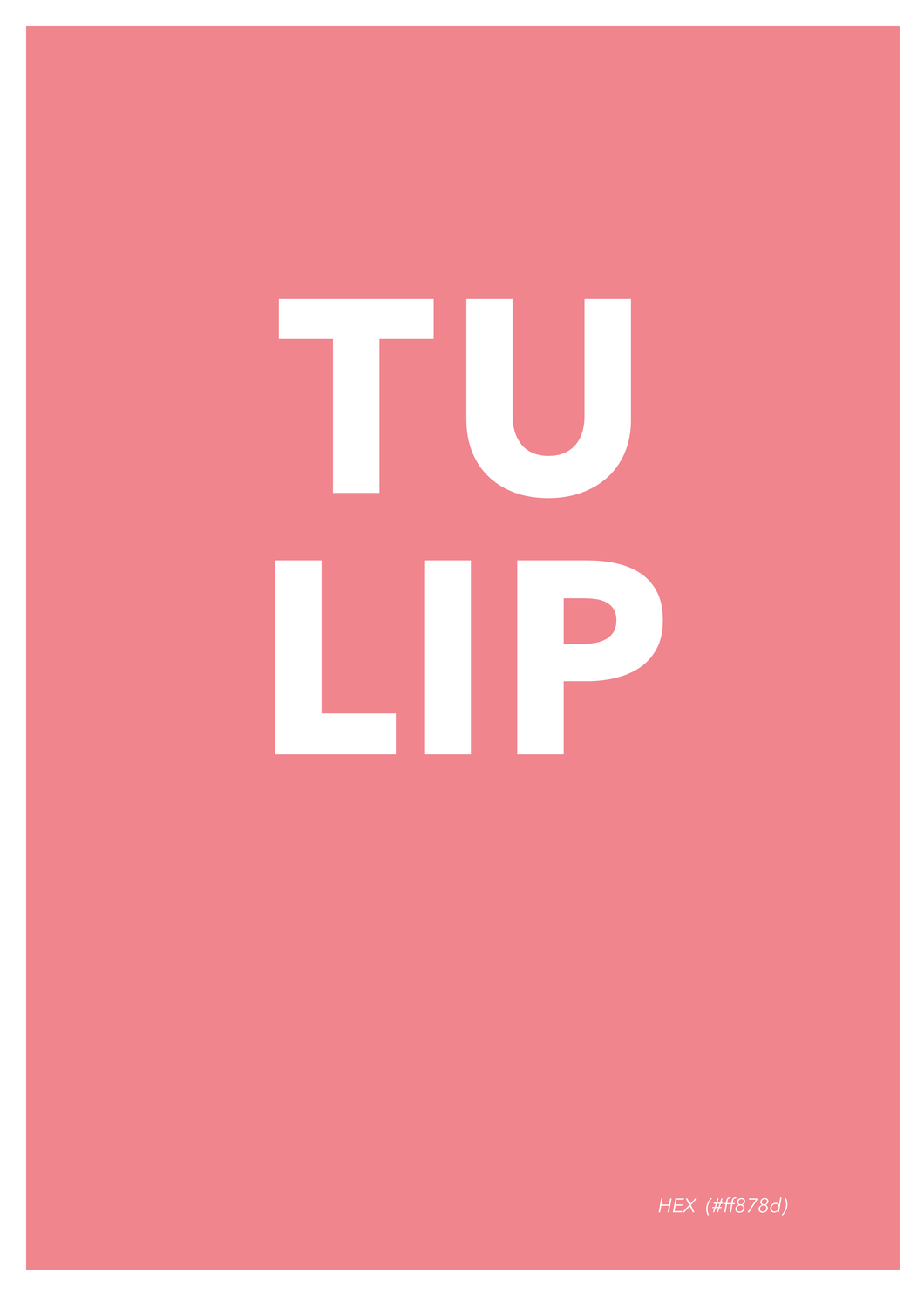 Tulip Poster