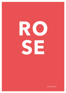 Rose Poster