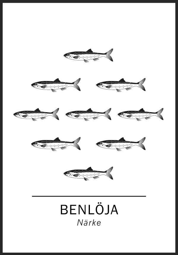 Benlöja, Närkes landskapsfisk