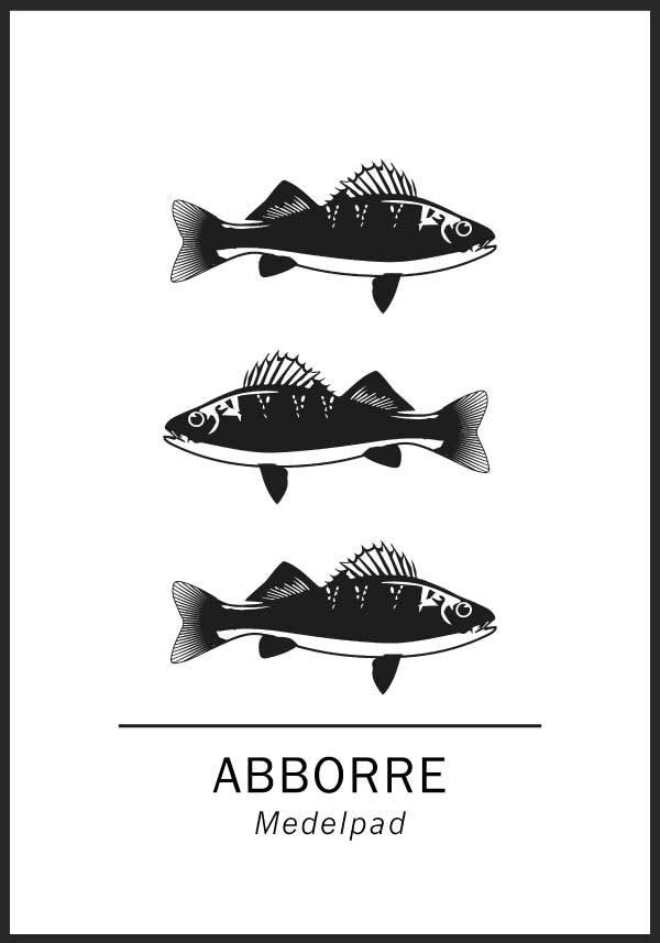 Abborre, Medelpads landskapsfisk