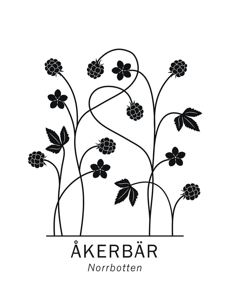 Åkerbär, Norrbottens landskapsblomma – Paperago