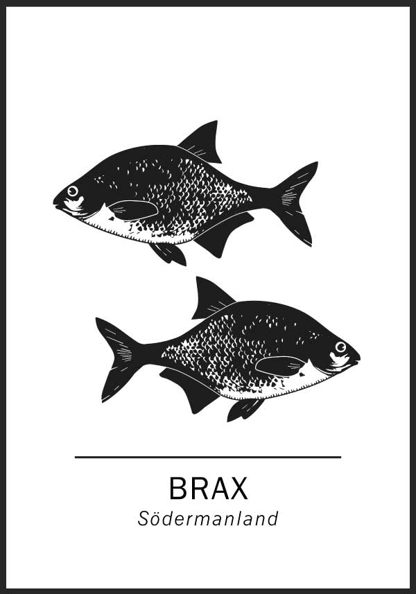 Brax, Södermanlands landskapsfisk
