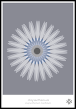 Ladda bilder till galleriet, Chrysanthemum