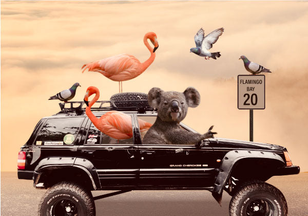 Road to Flamingo bay