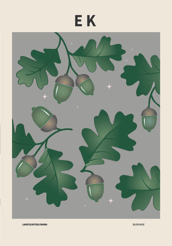 Ek, Blekinges landskapsblomma