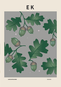 Ek, Blekinges landskapsblomma