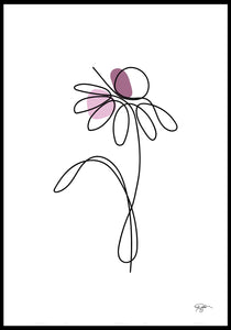 Enkel Echinacea