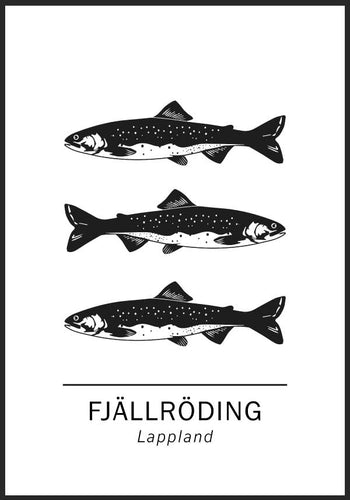 Fjällröding, Lapplands landskapsfisk