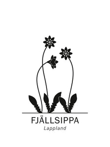 Fjällsippa, Lapplands landskapsblomma