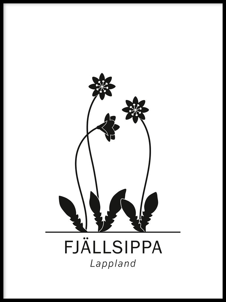 Fjällsippa, Lapplands landskapsblomma