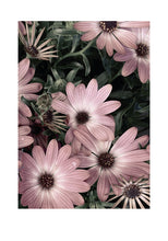 Ladda bilder till galleriet, Sunflowers black and white