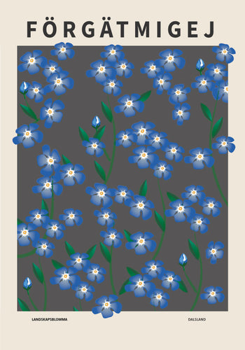 Förgätmigej, Dalslands landskapsblomma