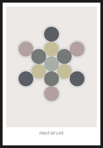 FRUIT OF LIFE SYMBOL