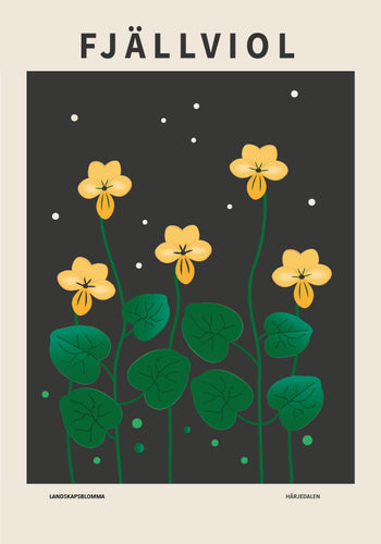 Fjällviol, Härjedalens landskapsblomma