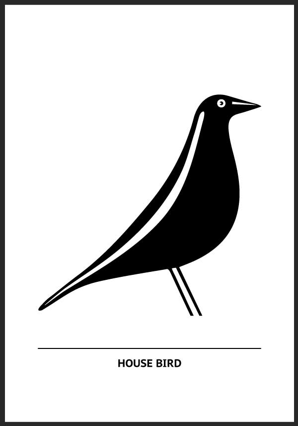 House bird