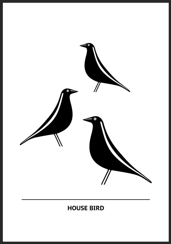 House birds
