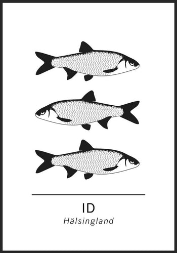 Id, Hälsinglands landskapsfisk