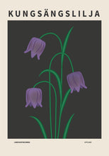 Ladda bilder till galleriet, Kungsängslilja, Upplands landskapsblomma