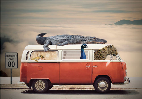 Road to Crocodile cave