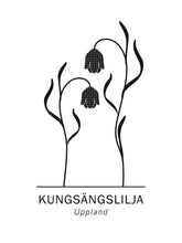 Ladda bilder till galleriet, Kungsängslilja, Upplands landskapsblomma