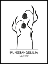 Ladda bilder till galleriet, Kungsängslilja, Upplands landskapsblomma