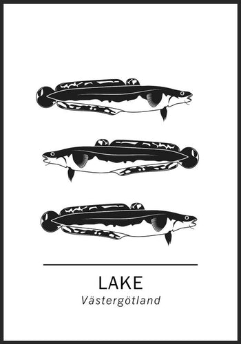 Lake, Västergötlands landskapsfisk