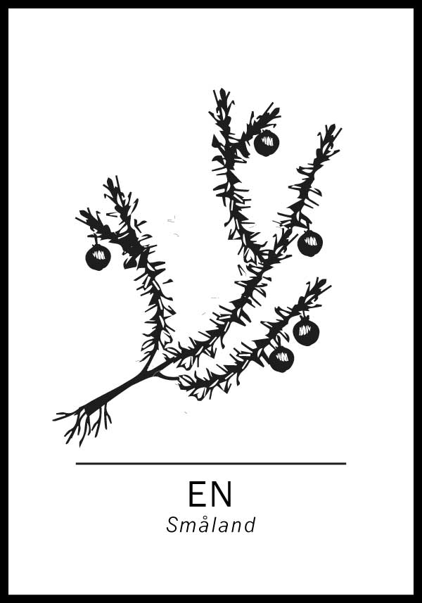 En, Smålands landskapsträd