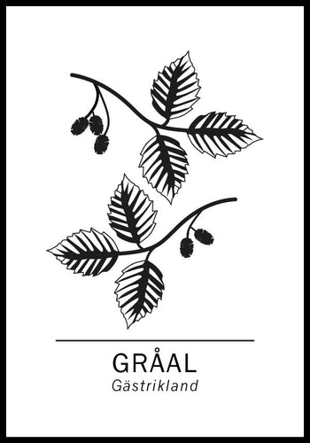 Gråal, Gästriklands landskapsträd