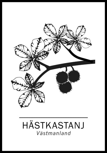 Hästkastanj, Västmanlands landskapsträd