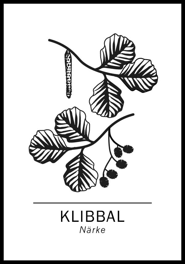 Klibbal, Närkes landskapsträd