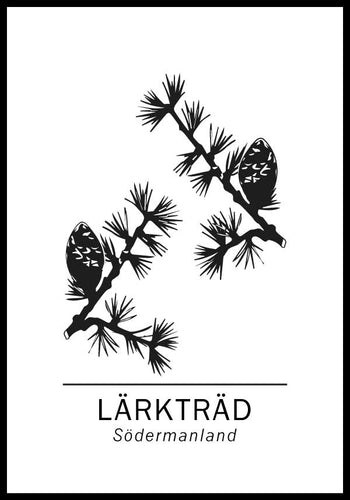 Lärkträd, Södermanlands landskapsträd