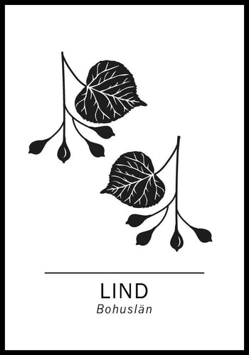 Lind, Bohusläns landskapsträd