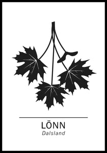 Lönn, Dalsland landskapsträd