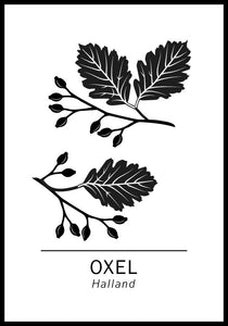 Oxel, Hallands landskapsträd