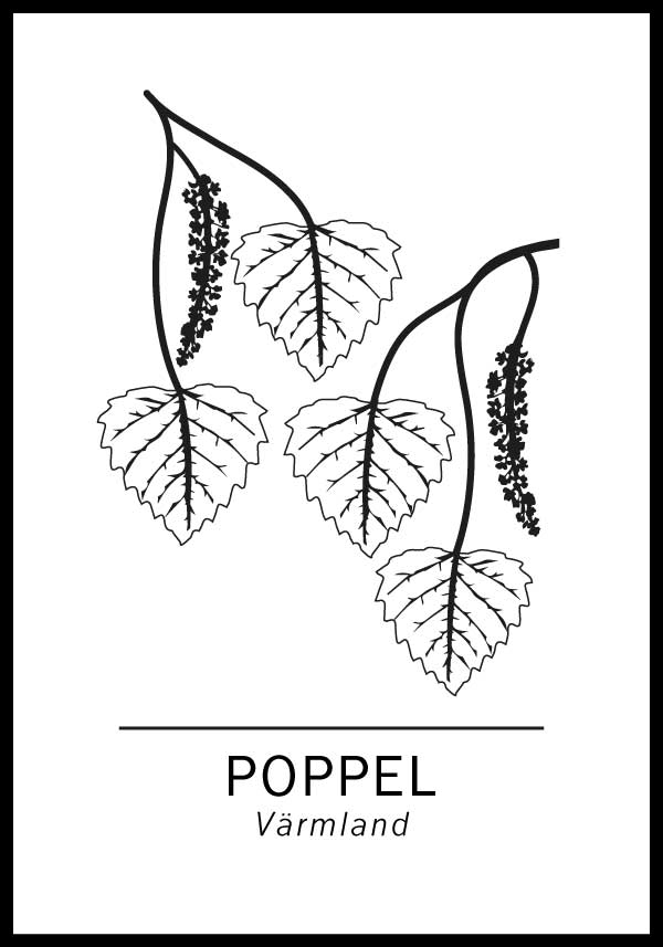Poppel, Värmlands landskapsträd