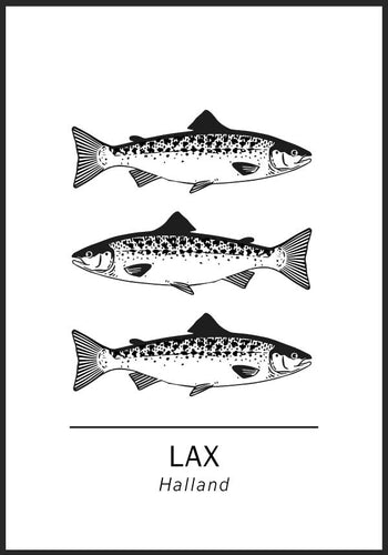 Lax, Hallands landskapsfisk