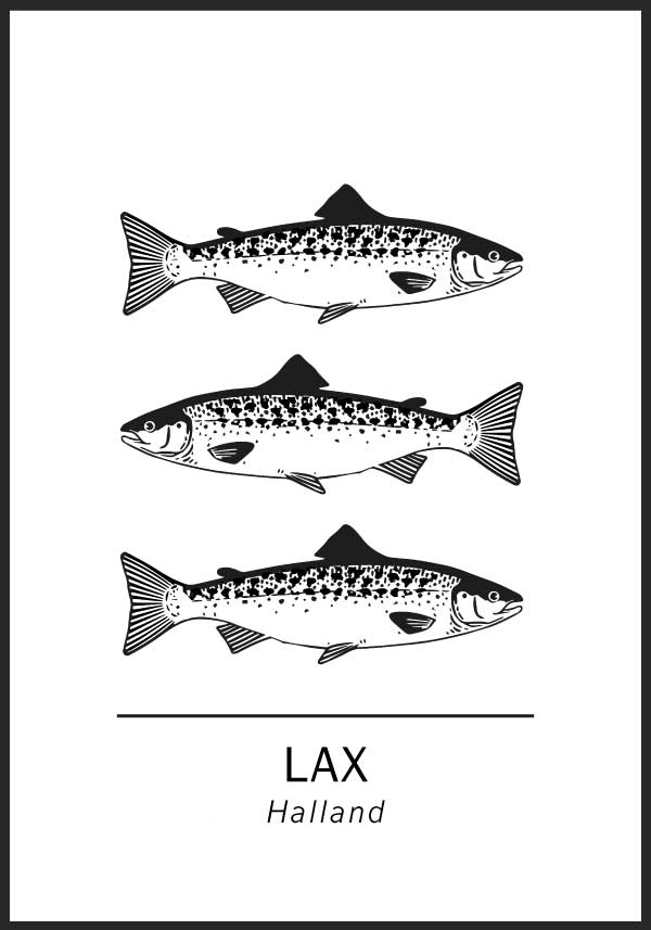 Lax, Hallands landskapsfisk