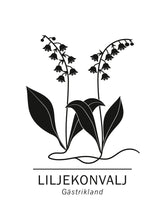 Ladda bilder till galleriet, Liljekonvalj, Gästriklands landskapsblomma