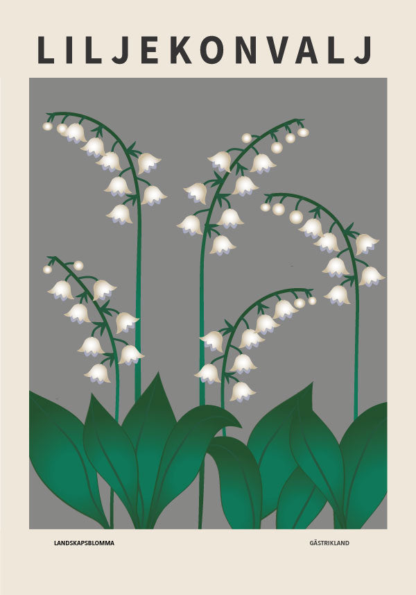 Liljekonvalj, gästriklands landskapsblomma