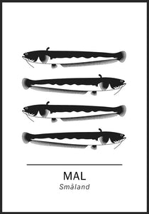 Mal, Smålands landskapsfisk
