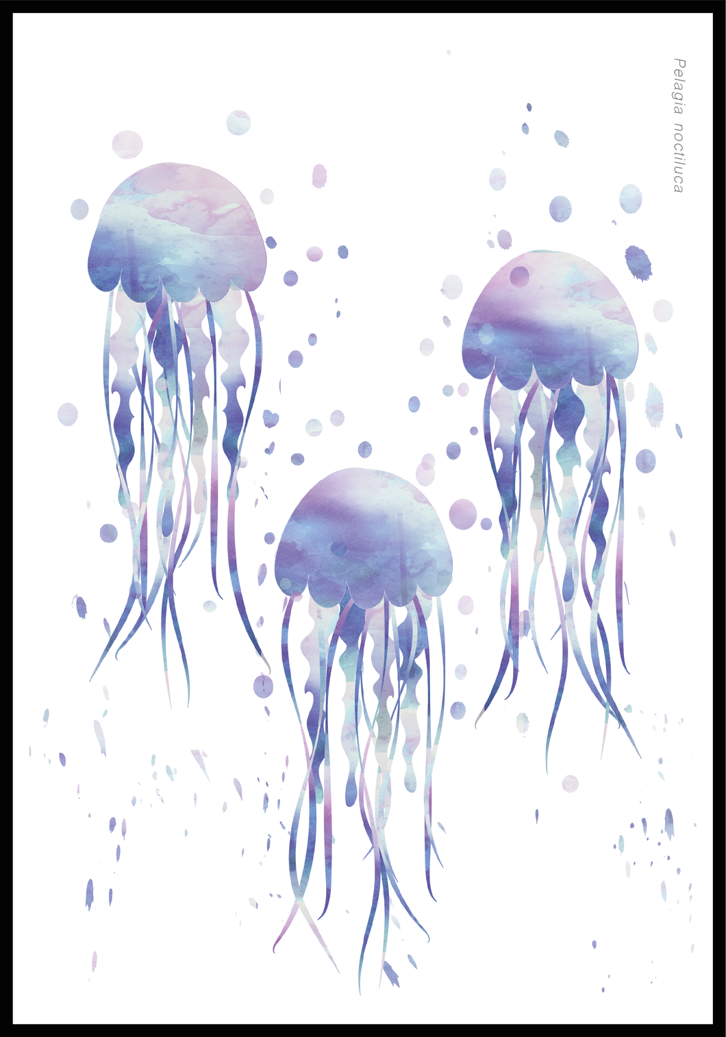 Jellyfish blue