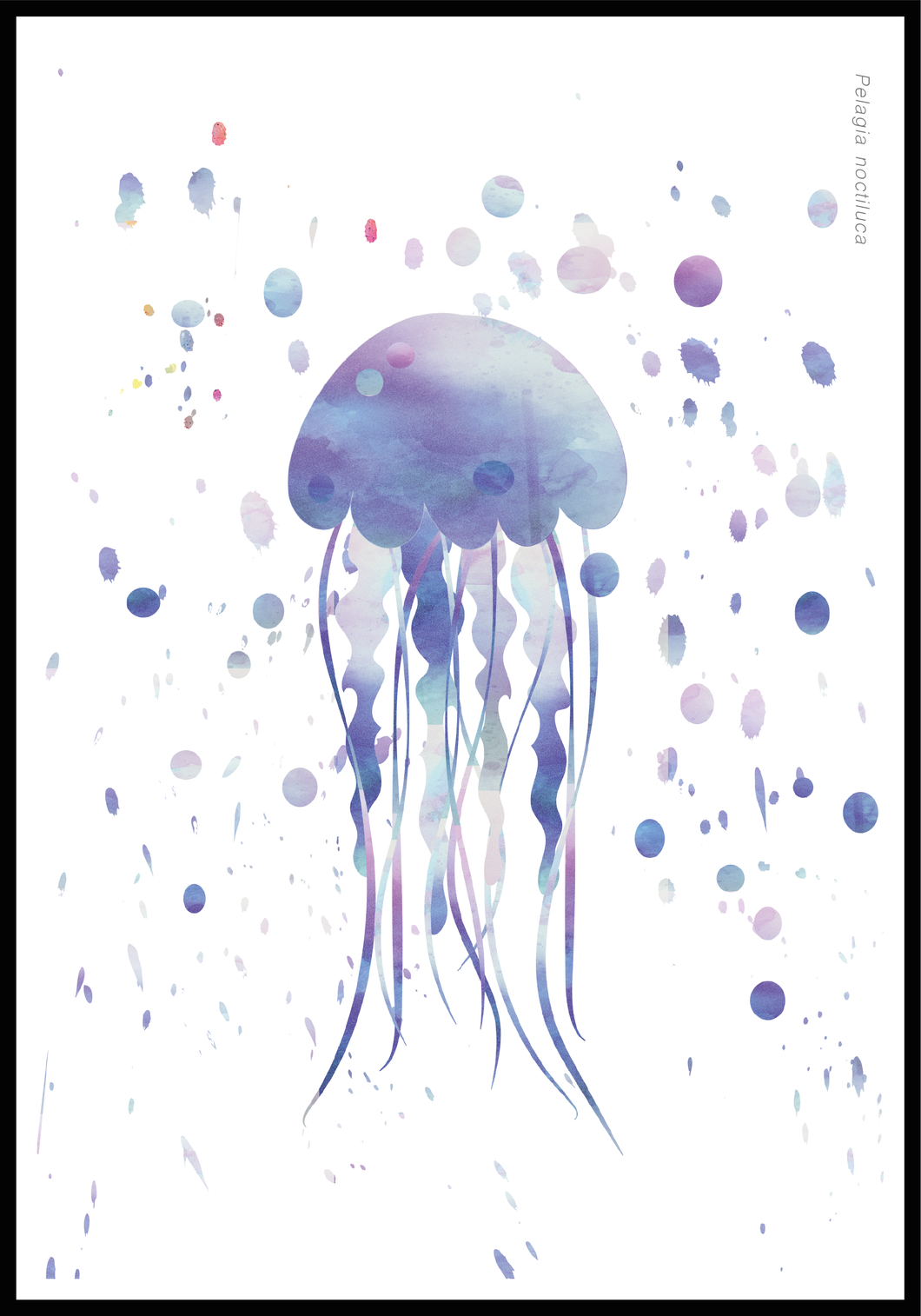 Jellyfish blue