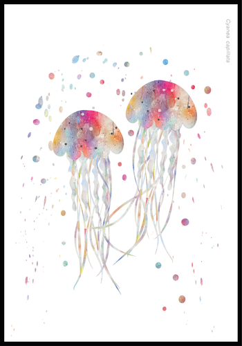 Jellyfish stinger