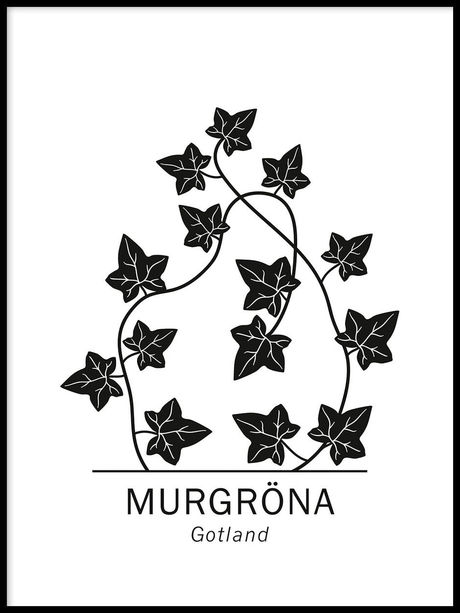 Murgröna, Gotlands landskapsblomma