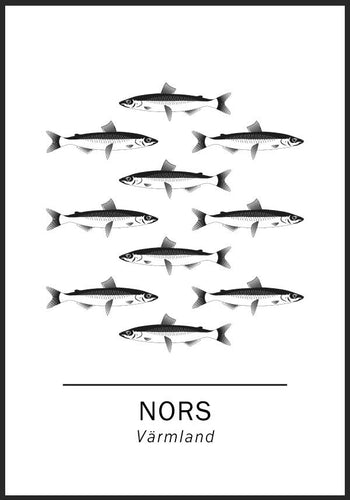 Nors, Värmlands landskapsfisk