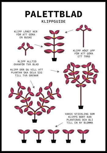 Palettblads Guide